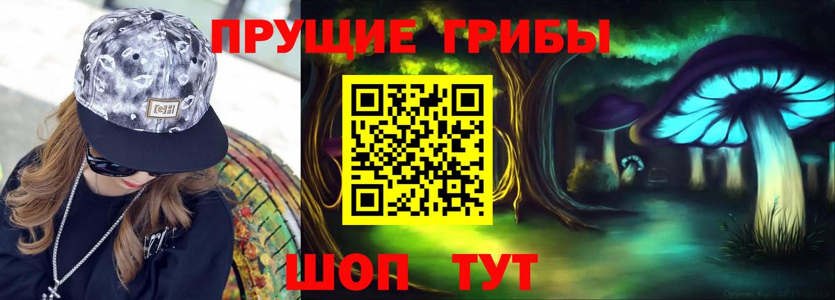 Усть-Джегута  Псилоцибиновые грибы мухоморы  Вход с VPN 